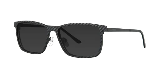 CLIP-ON sun cover 48378C4