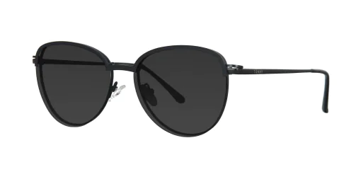 CLIP-ON sun cover 48380C4