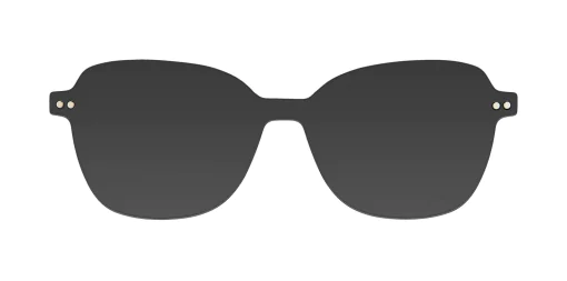 CLIP-ON sun cover 3047