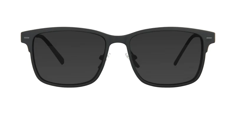 CLIP-ON sun cover 48363AC1