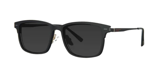 CLIP-ON sun cover 48363AC1