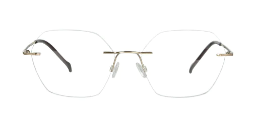 Optical frame TONNY Titanium 240C4