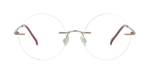 Optical frame TONNY Titanium 245C4