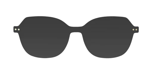 CLIP-ON sun cover 3048