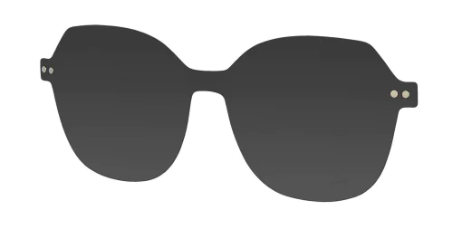 CLIP-ON sun cover 3048