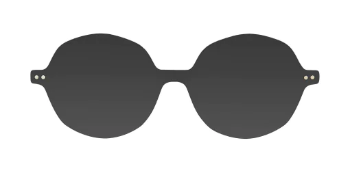 CLIP-ON sun cover 3049