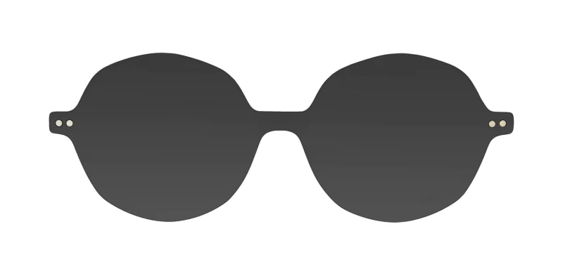 CLIP-ON sun cover 3049