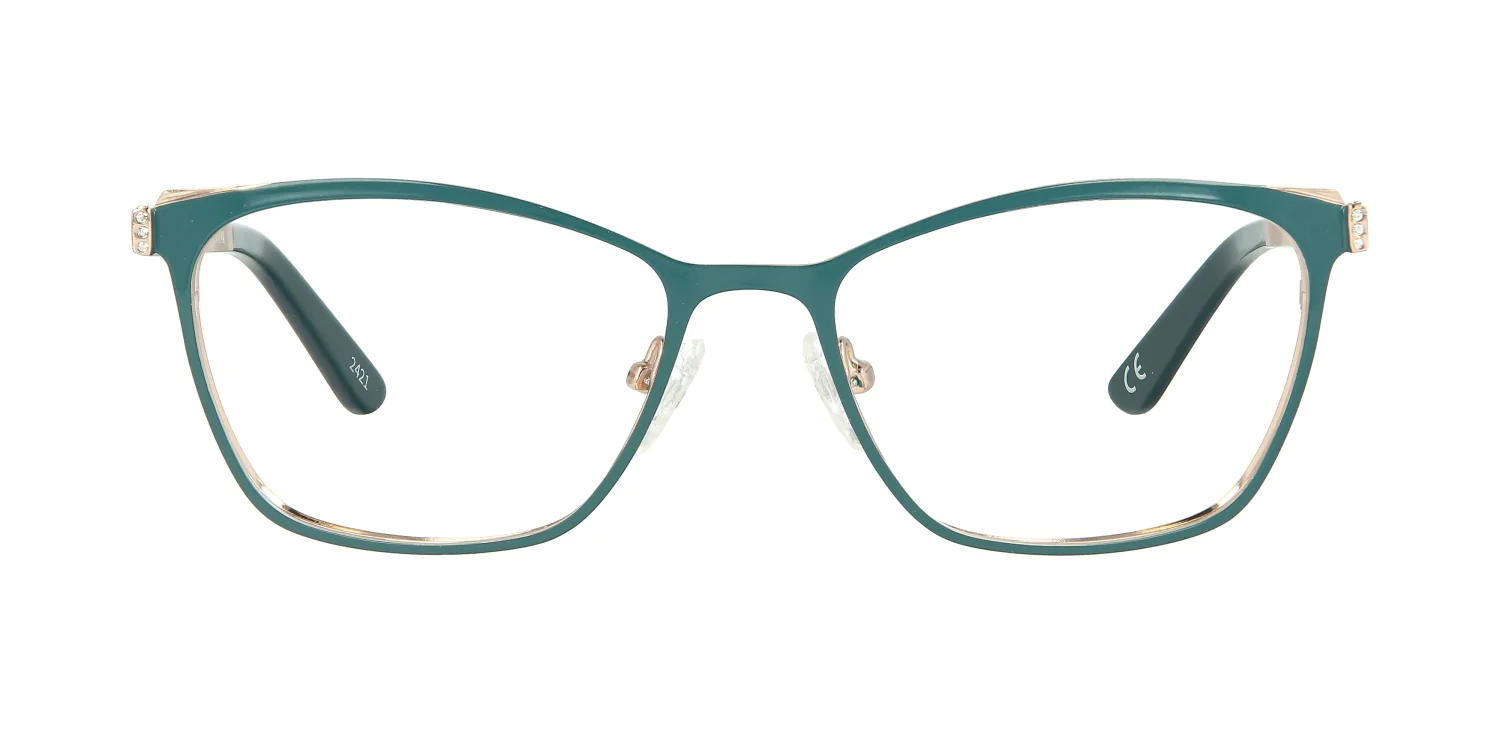 Optical frame TONNY 48201C6