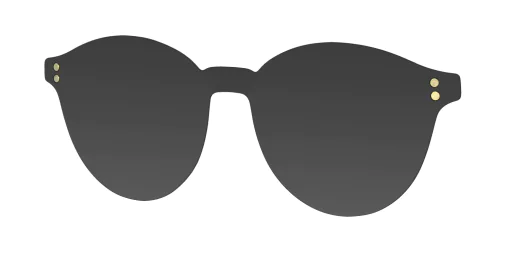 CLIP-ON sun cover 48410C