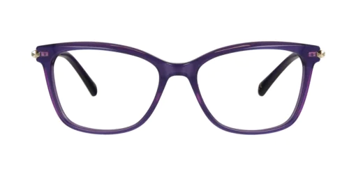 Optical frame TONNY 44081C4