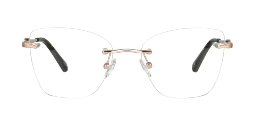 Optical frame TONNY 44077C3