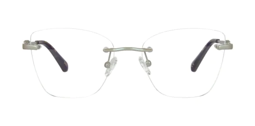 Optical frame TONNY 44077C4