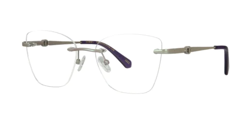Optical frame TONNY 44077C4