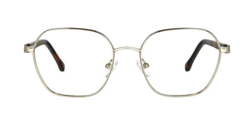 Optical frame TONNY 44070C2