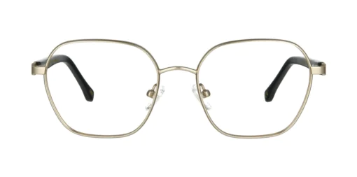 Optical frame TONNY 44070C3