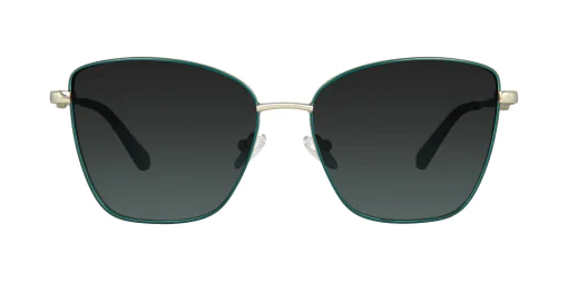 Sunglasses TONNY 9404C2