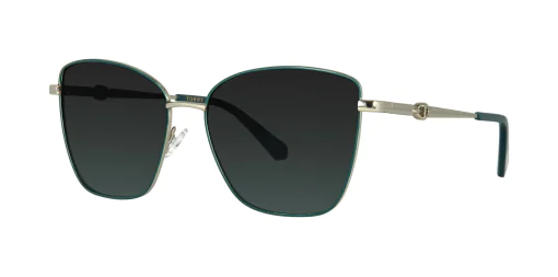 Sunglasses TONNY 9404C2