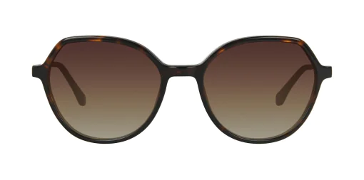 Sunglasses TONNY 9411C1