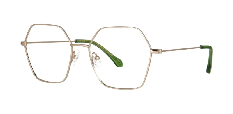 Optical frame TONNY 44046C3