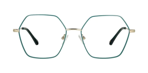 Optical frame TONNY 44046C4