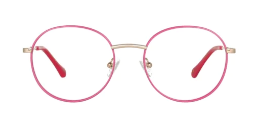 Optical frame TONNY 44048C3