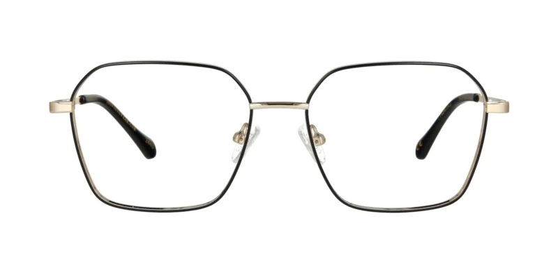 Optical frame TONNY 48479C2