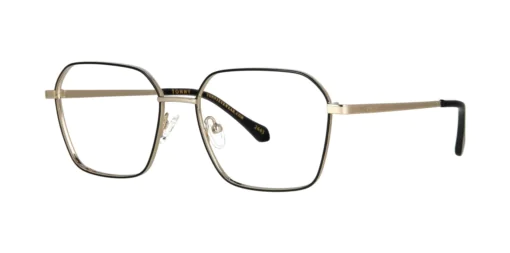 Optical frame TONNY 48479C2