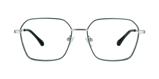 Optical frame TONNY 48479C3