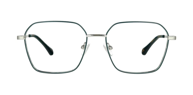 Optical frame TONNY 48479C3