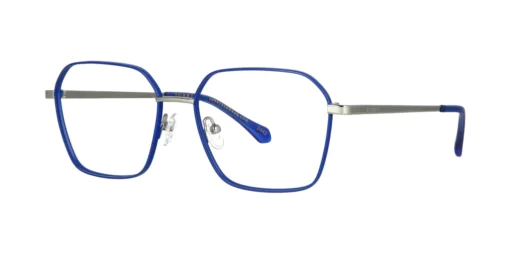 Optical frame TONNY 48479C4