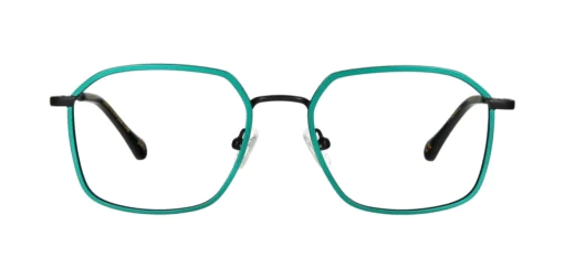 Optical frame TONNY 48480C2