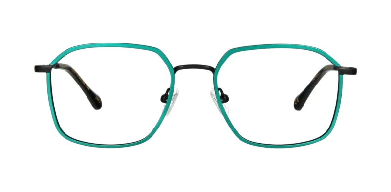 Optical frame TONNY 48480C2