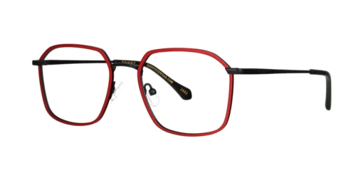 Optical frame TONNY 48480C3