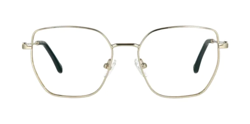 Optical frame TONNY 44094C2