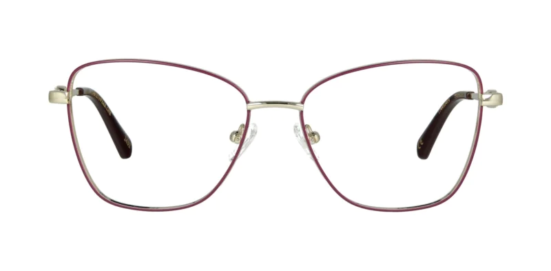 Optical frame TONNY 44074C4