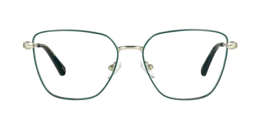 Optical frame TONNY 44093C1