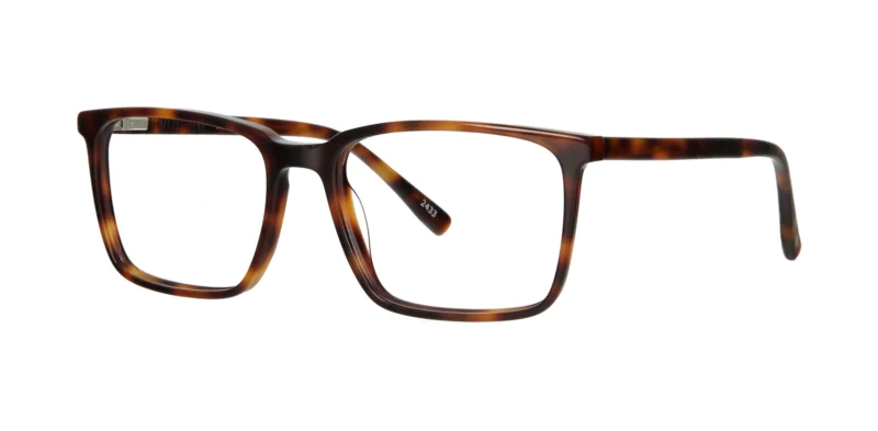 Optical frame MARVELLENS 8484C2