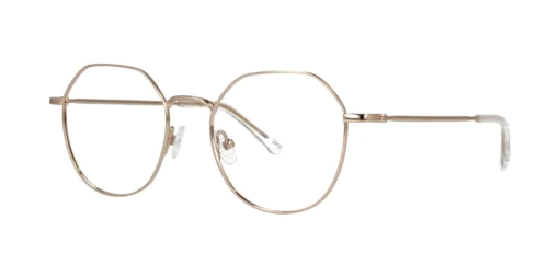 Optical frame TONNY Titanium 258C1