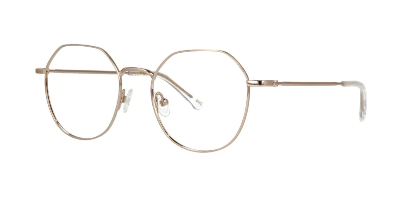 Optical frame TONNY Titanium 258C1