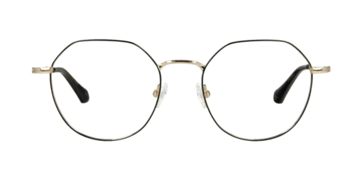 Optical frame TONNY Titanium 258C2