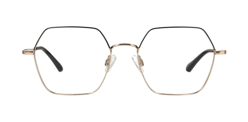 Optical frame TONNY Titanium 263C2