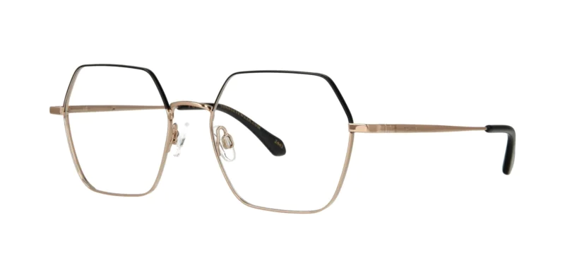 Optical frame TONNY Titanium 263C2