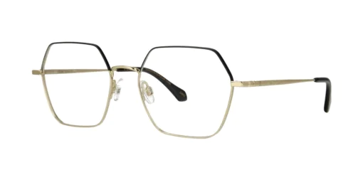 Optical frame TONNY Titanium 263C3