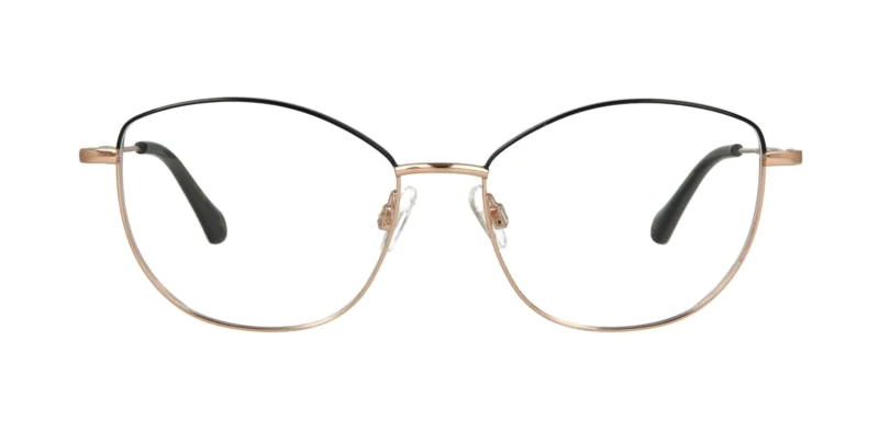 Optical frame TONNY Titanium 266C2