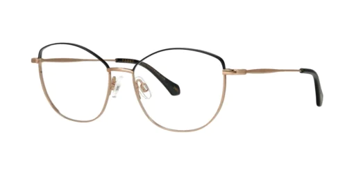 Optical frame TONNY Titanium 266C2