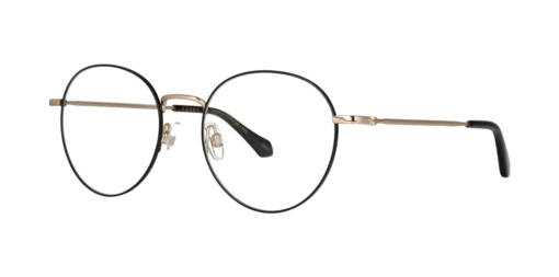 Optical frame TONNY Titanium 250C2