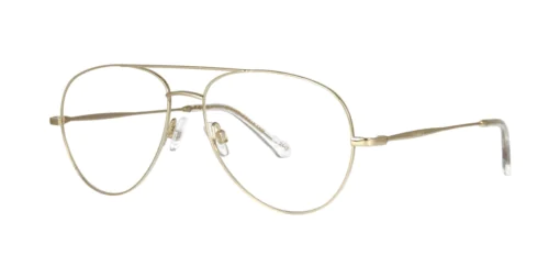 Optical frame TONNY Titanium 260C1