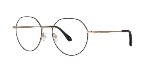 Optical frame TONNY Titanium 261C1