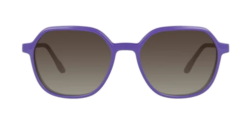 CLIP-ON sun cover 0078C1