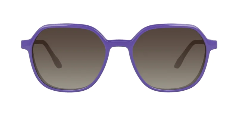 CLIP-ON sun cover 0078C1